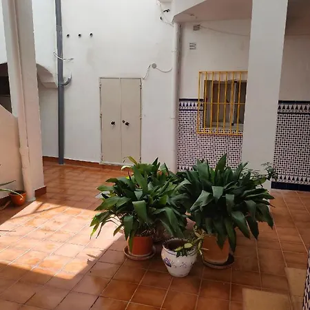 Estudio Alicia Rota